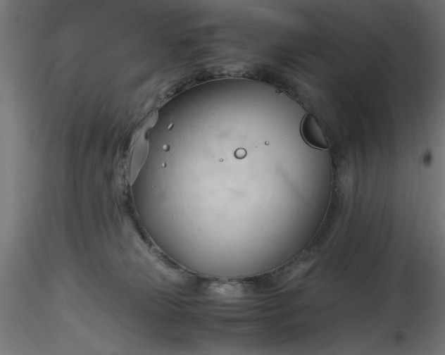 X0000116680181200912291727