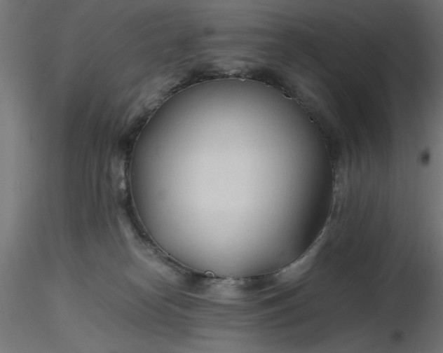 X0000116680182200912291727