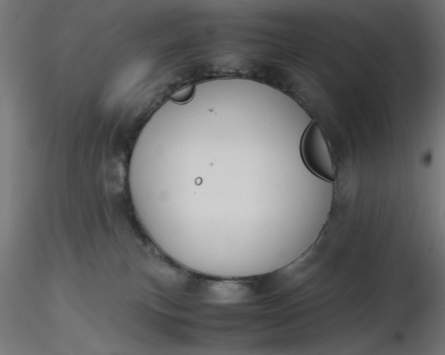 X0000116680183200912291727