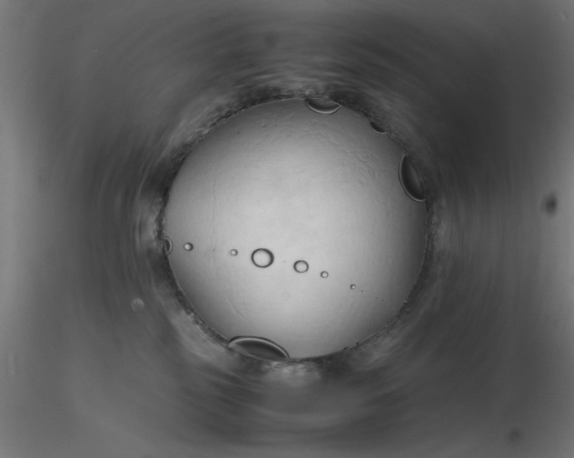 X0000116680185200912291727