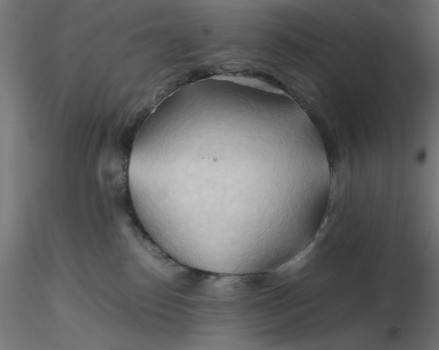 X0000116680186200912291727