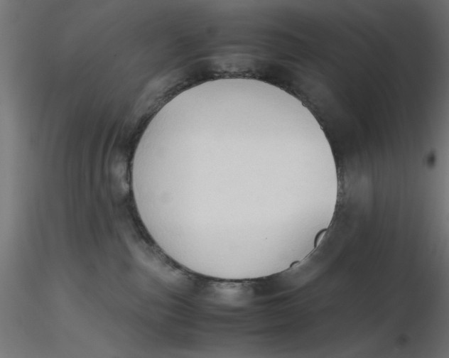 X0000116680187200912291727