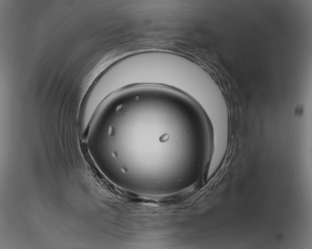 X0000116680195200912291726