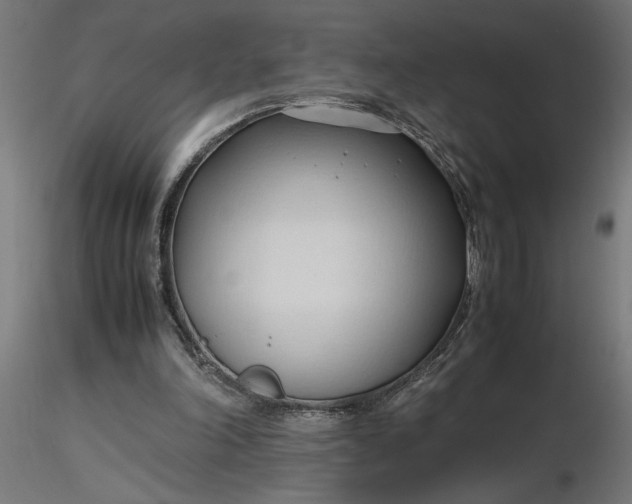 X0000116680198200912291726