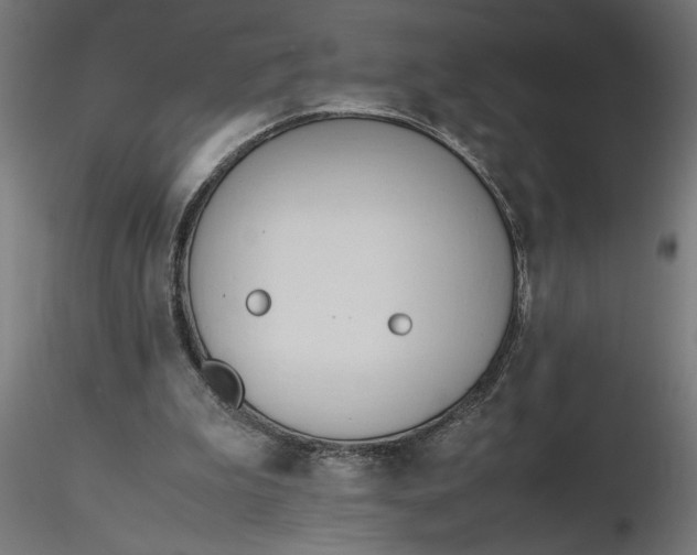 X0000116680199200912291726