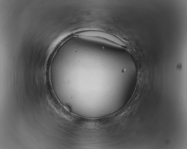 X0000116680200200912291726