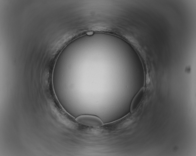 X0000116680201200912291726