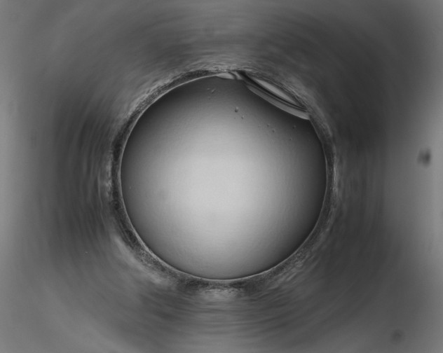 X0000116680202200912291726