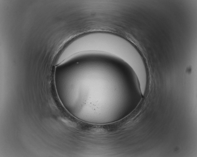 X0000116680203200912291726