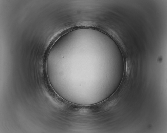 X0000116680204200912291726