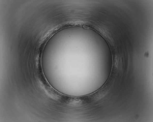 X0000116680206200912291726