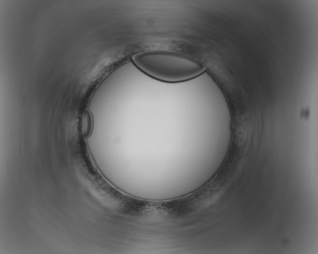 X0000116680207200912291726