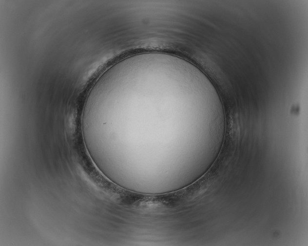 X0000116680208200912291726