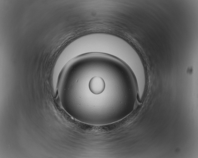 X0000116680209200912291726