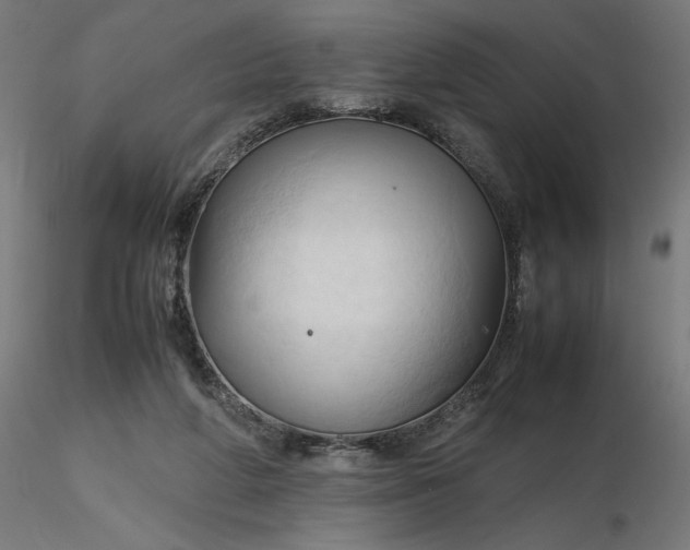 X0000116680210200912291726