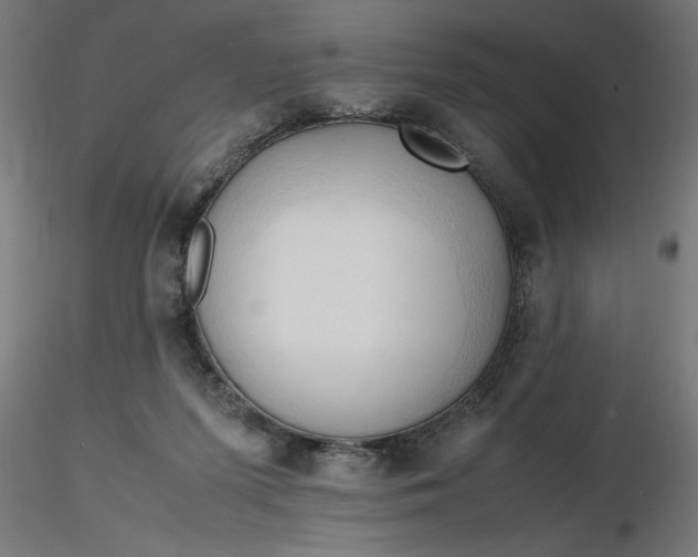 X0000116680215200912291726