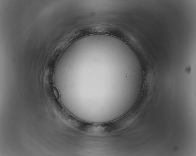 X0000116680217200912291726