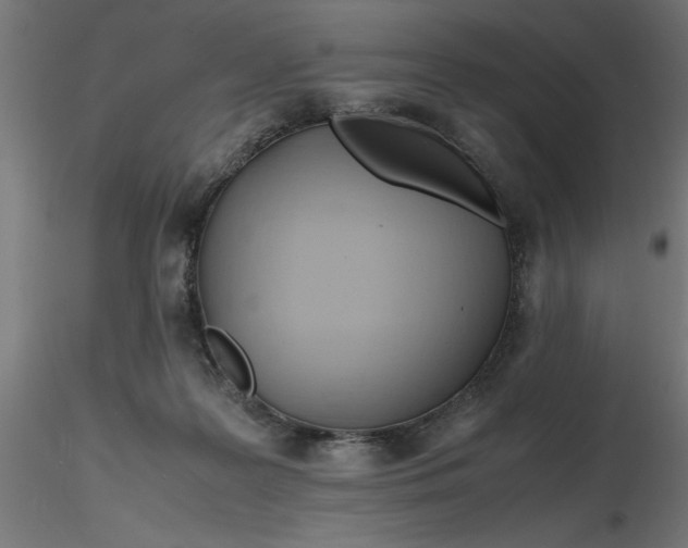 X0000116680219200912291726