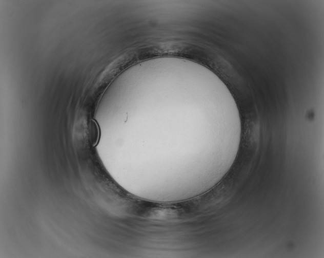 X0000116680220200912291726