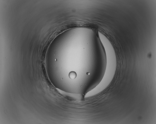 X0000116680221200912291726