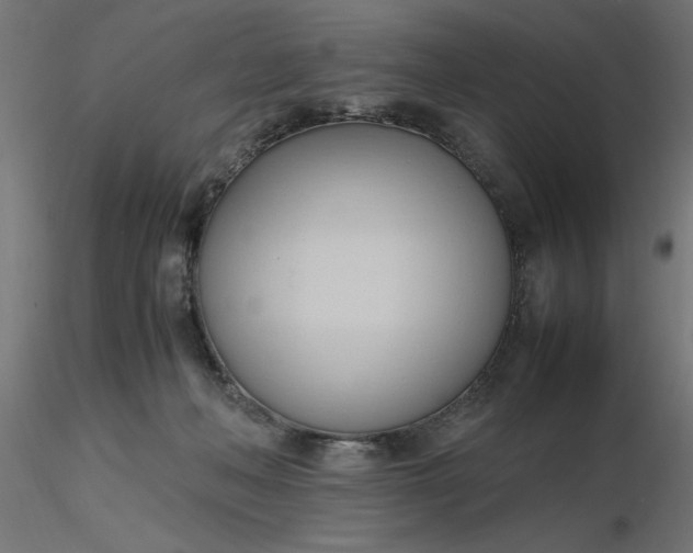 X0000116680222200912291726