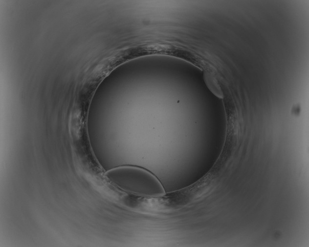 X0000116680223200912291726