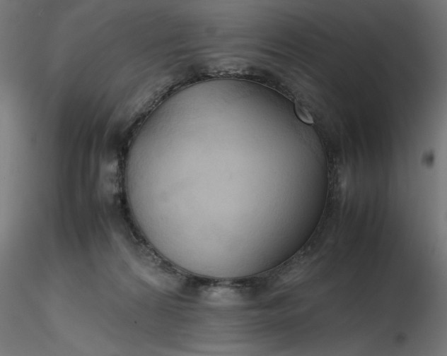 X0000116680224200912291726