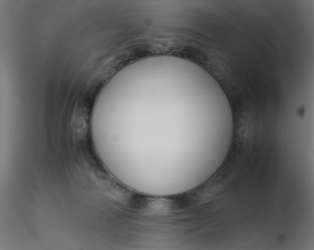 X0000116680226200912291726