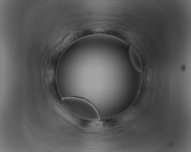 X0000116680227200912291726