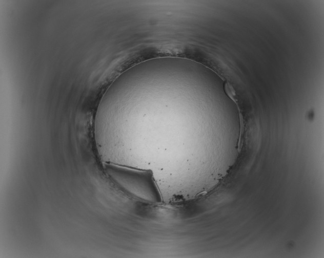 X0000116680229200912291726