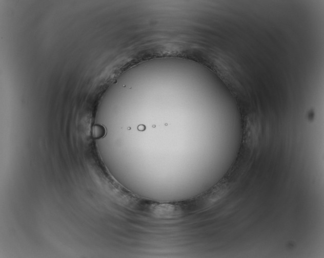 X0000116680230200912291726