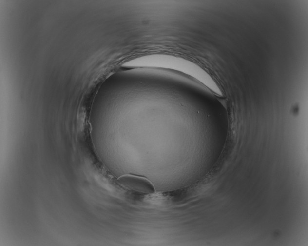 X0000116680231200912291726