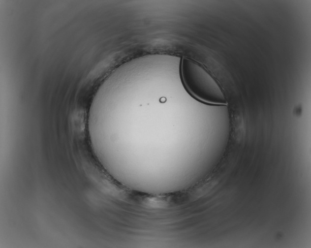 X0000116680232200912291726