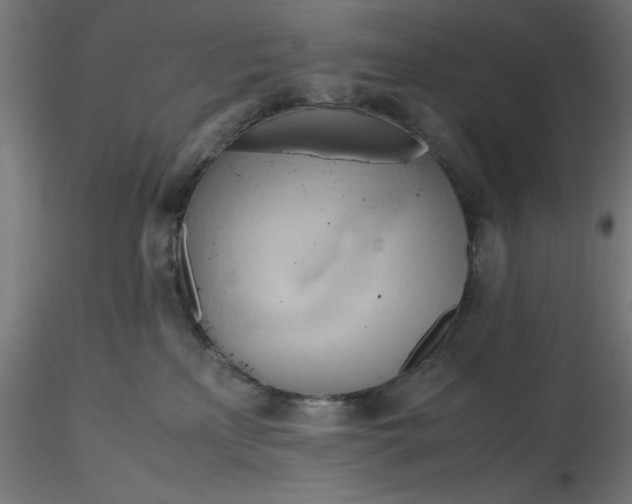 X0000116680233200912291726