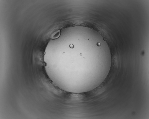 X0000116680234200912291726