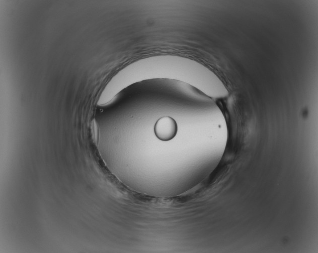 X0000116680235200912291726