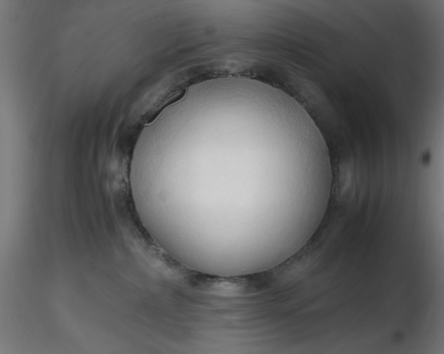 X0000116680236200912291726