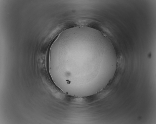 X0000116680237200912291726