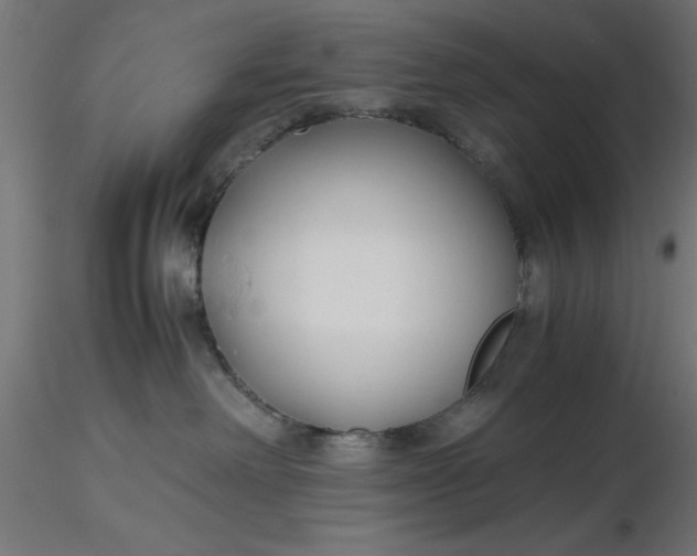 X0000116680238200912291726