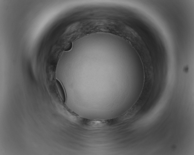 X0000116680239200912291726