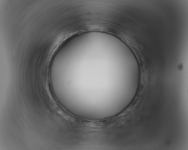 X0000116680241200912291725