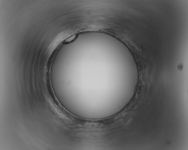 X0000116680242200912291725