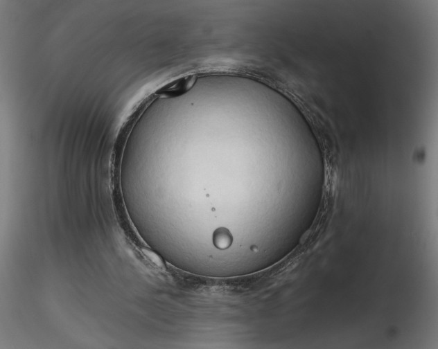 X0000116680244200912291725