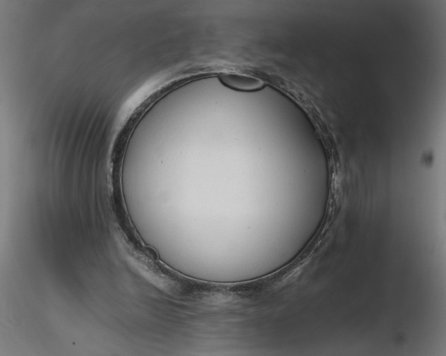 X0000116680246200912291725