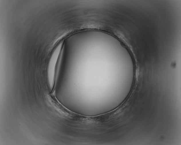 X0000116680249200912291725