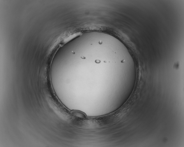 X0000116680250200912291725