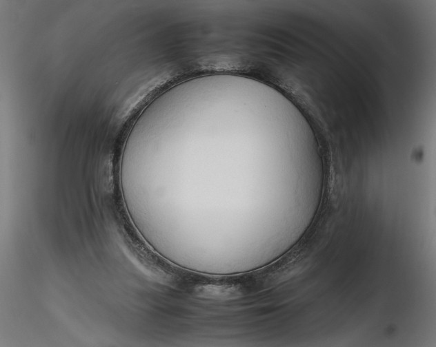 X0000116680251200912291725