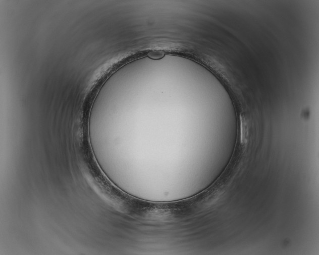 X0000116680252200912291725