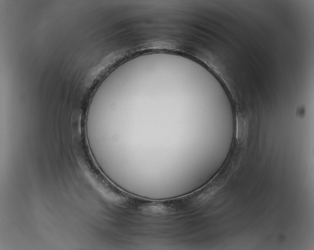 X0000116680253200912291725