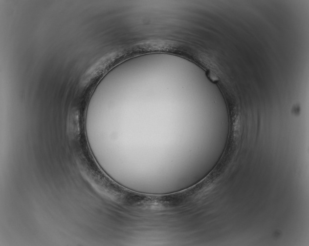 X0000116680254200912291725